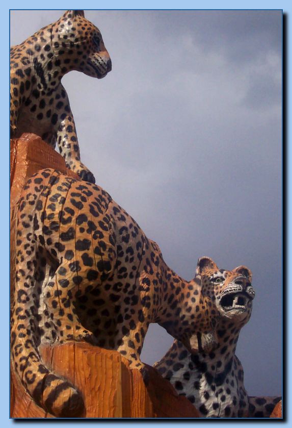 1-28 leopards